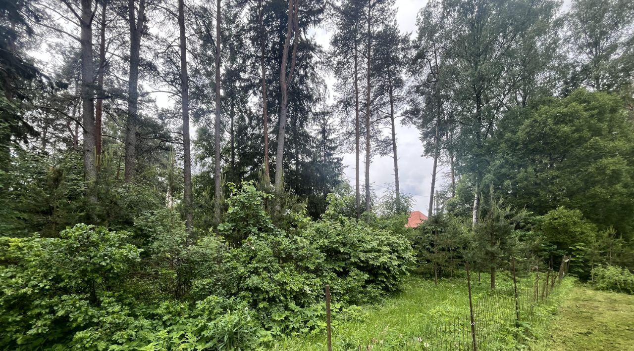 дом г Санкт-Петербург п Комарово ул Выборгская 2а р-н Курортный фото 10