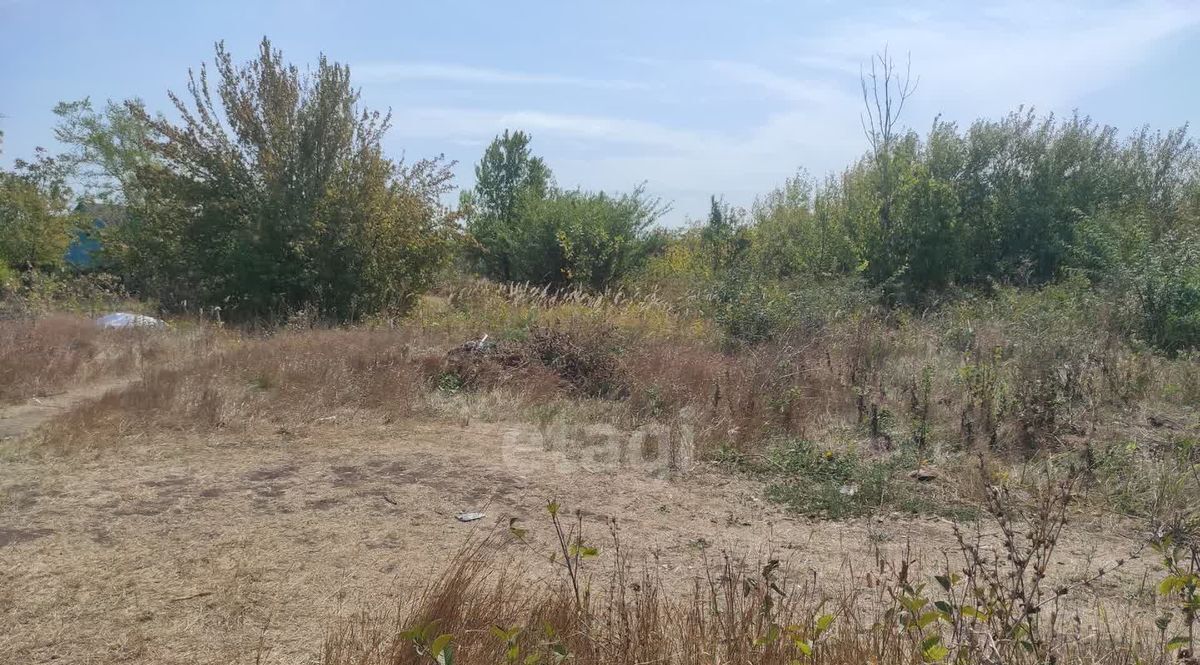 земля р-н Ейский г Ейск снт Восход фото 4