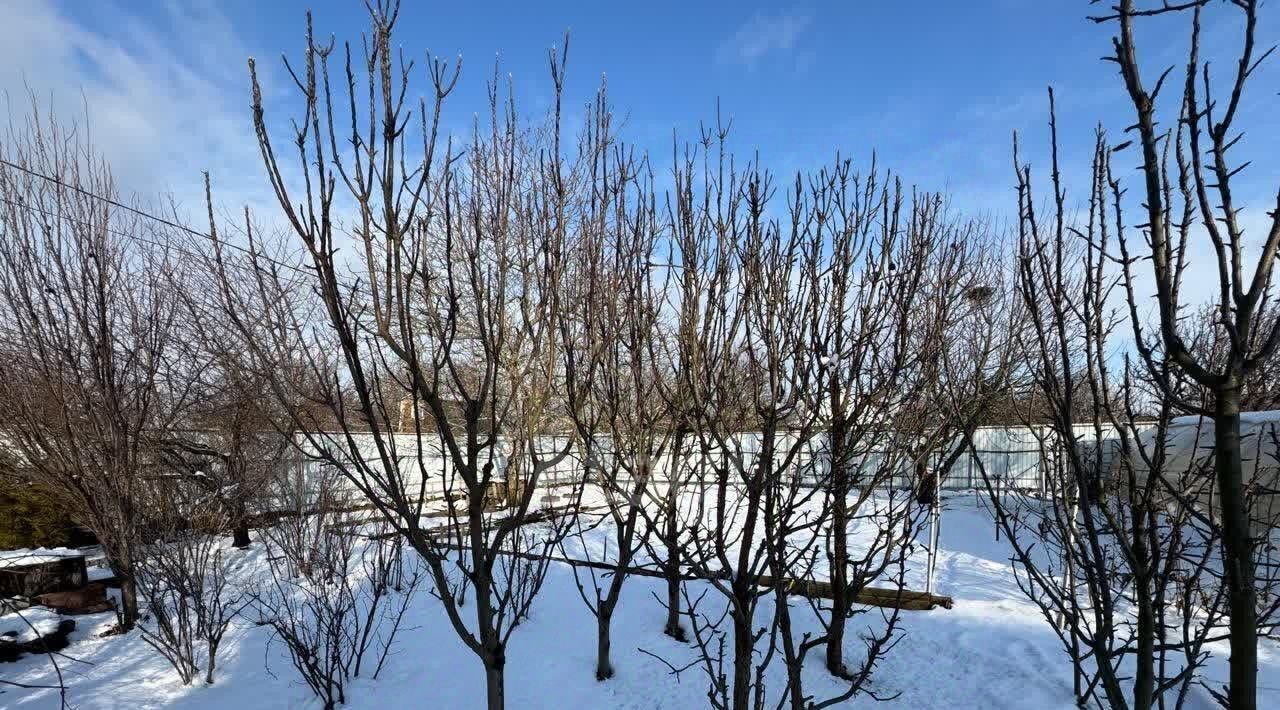 земля р-н Ейский г Ейск п Широчанка снт Дружба фото 9