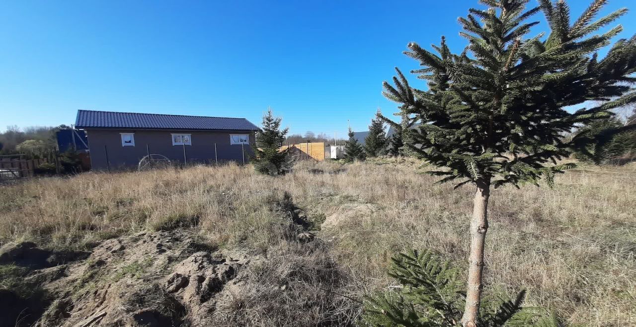 земля р-н Зеленоградский г Зеленоградск ул Ясная Янтарный, СТ Прислово фото 20