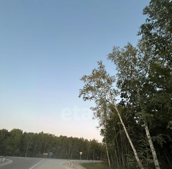 земля г Благовещенск ш Игнатьевское фото 1