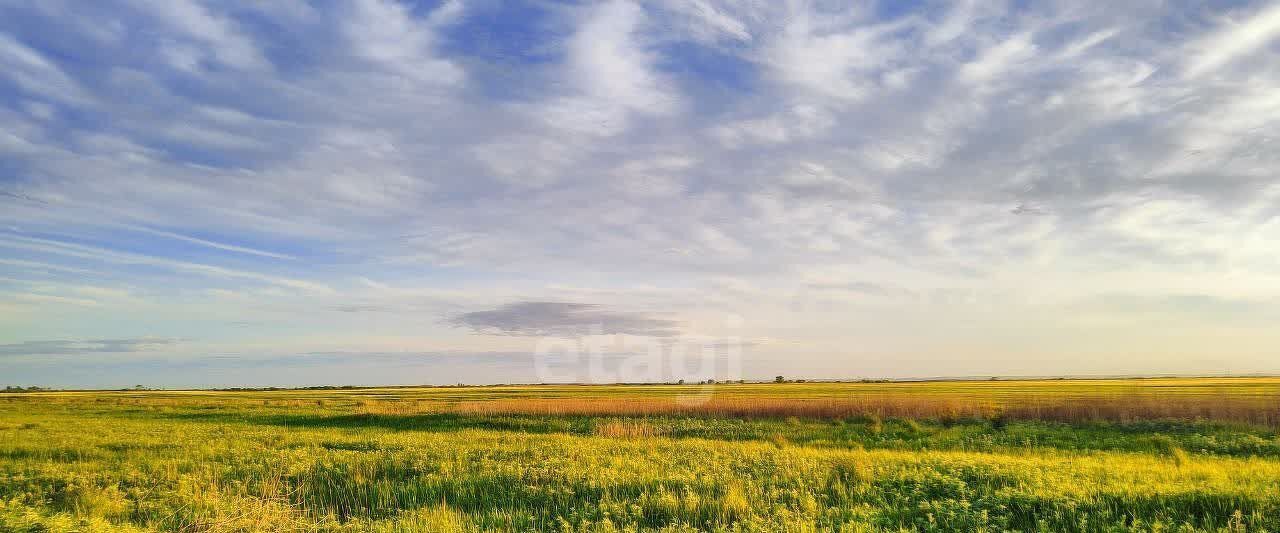 земля г Зея Благовещенск фото 5