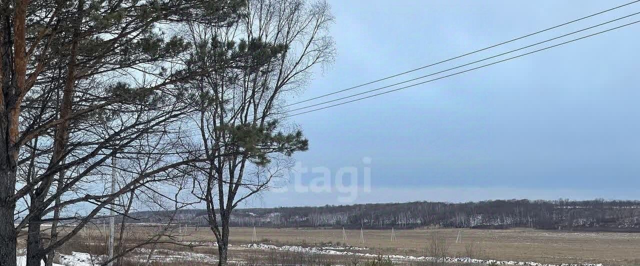 земля г Благовещенск фото 19