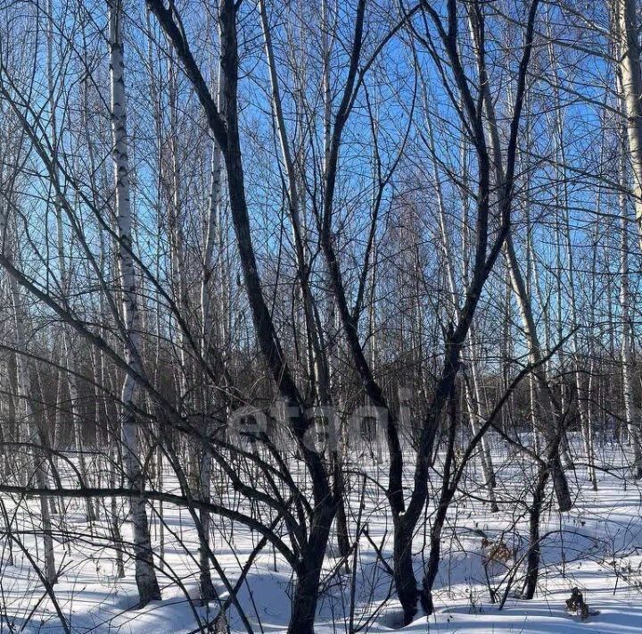 земля г Благовещенск фото 6