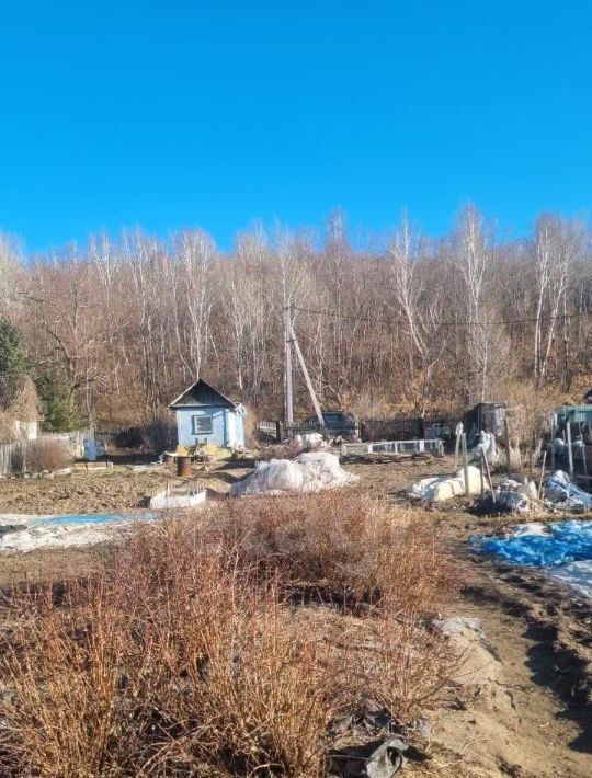 земля г Благовещенск Садовые участки фото 9