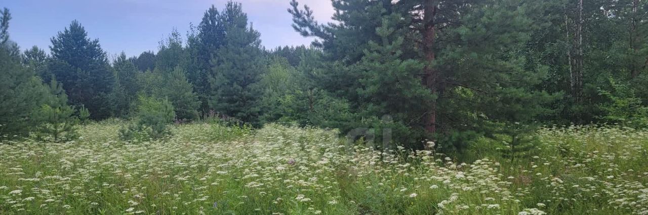 земля г Нижний Тагил р-н Ленинский ул Родная фото 4