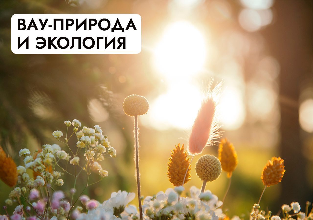 земля г Клин 54 км, эко-посёлок Ели эстейт, Новопетровское, Ленинградское шоссе фото 34