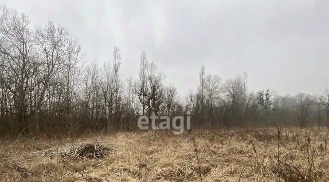 земля г Горячий Ключ ст-ца Саратовская фото 1