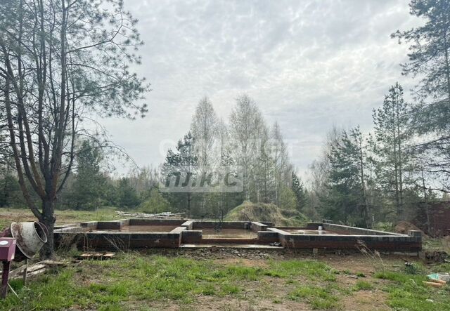 земля р-н Октябрьский Большие Пазелы фото