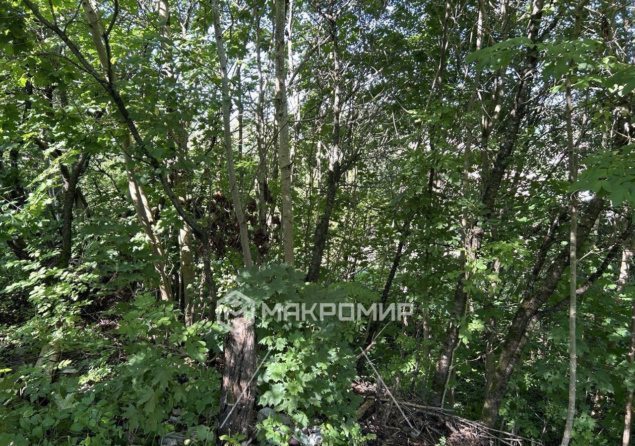 земля г Красное Село Дудергоф ул Большая Горская 3 Гатчинское шоссе, 11 км фото 5