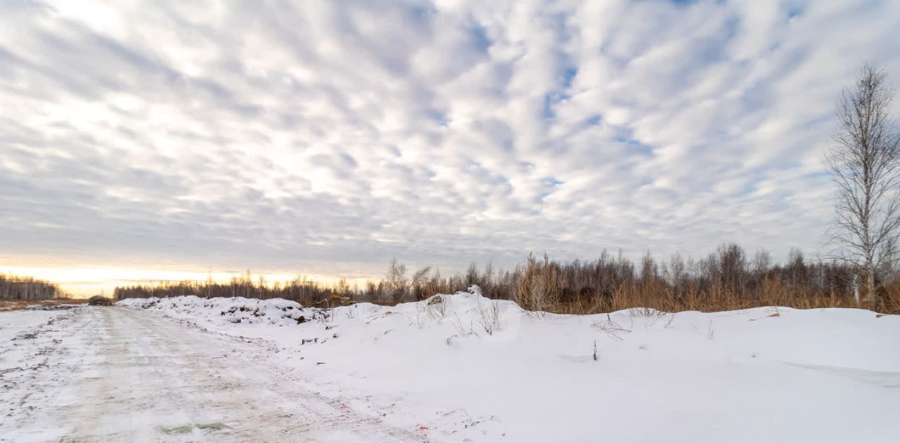 офис г Тюмень р-н Ленинский 7-й Велижанского тракта км, 18с 1 фото 4