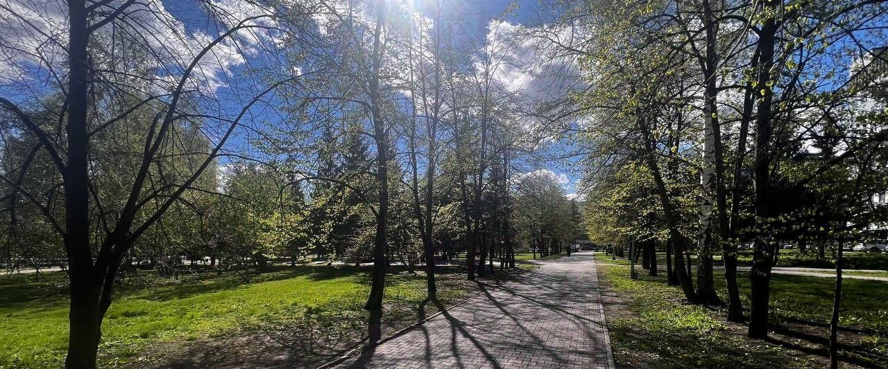 квартира г Новосибирск ул Каменская 3 Площадь Ленина фото 12