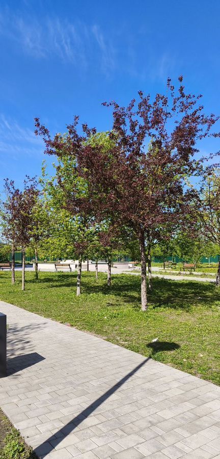 квартира г Калуга р-н Ленинский ул Комфортная 3 ЖК «Комфорт Парк» фото 24