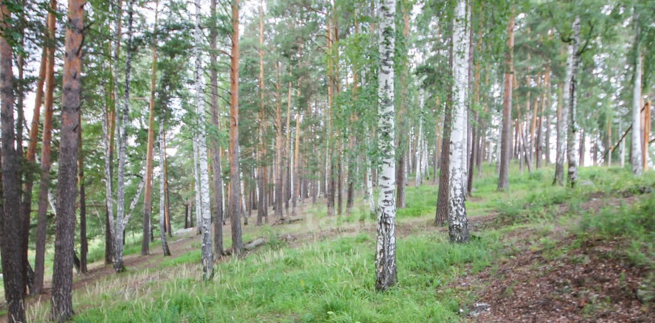 земля г Верхняя Пышма п Исеть ул Лесная 29 фото 19