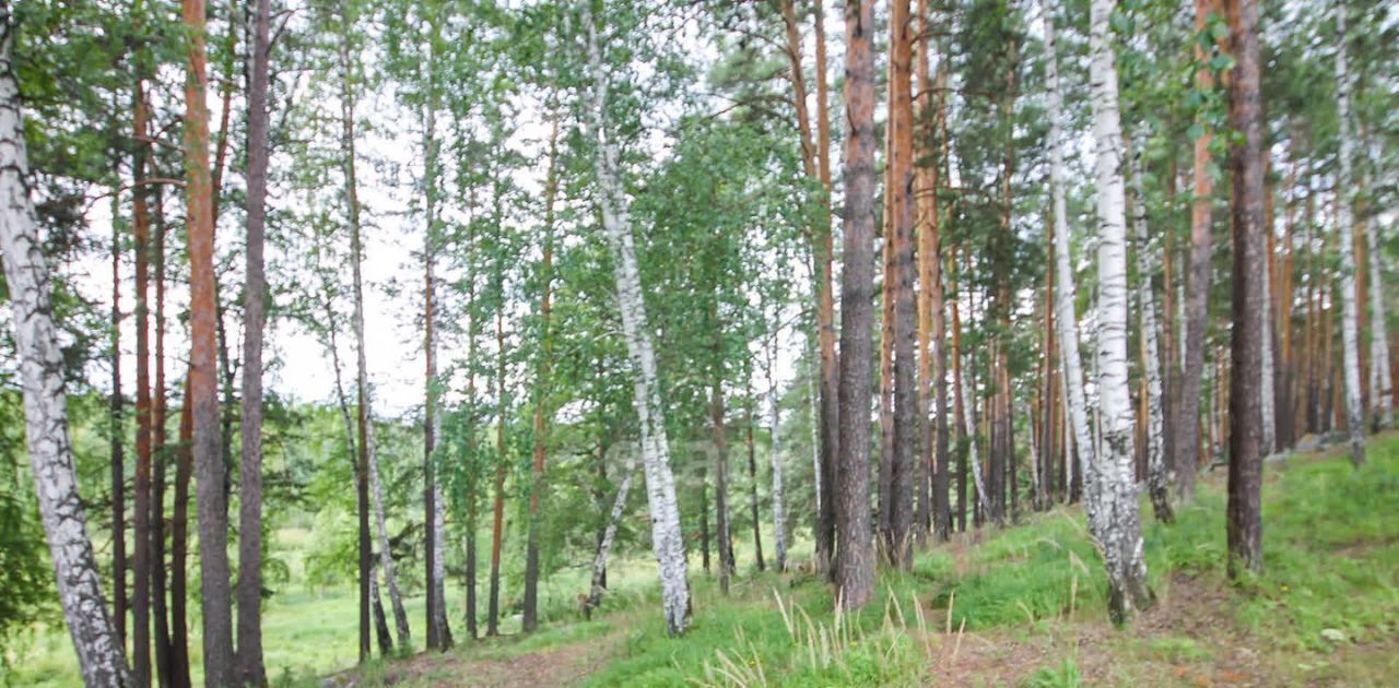 земля г Верхняя Пышма п Исеть ул Лесная 29 фото 23