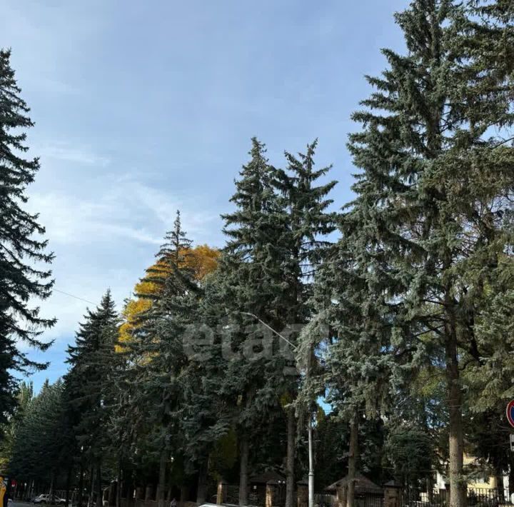 офис г Кисловодск ул Российская фото 5