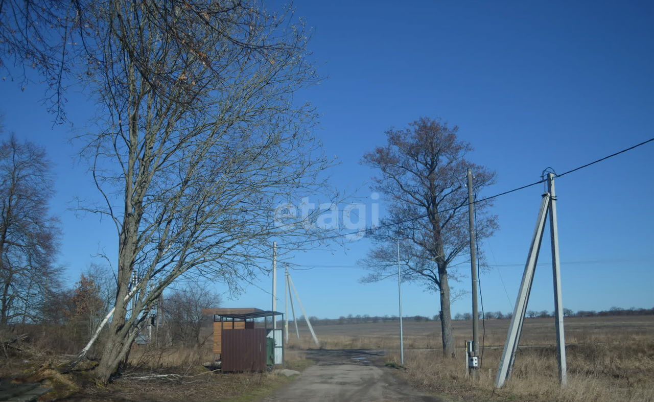 земля р-н Багратионовский г Багратионовск фото 1
