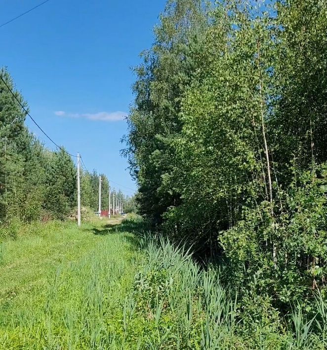 земля г Электрогорск снт Вереск Павлово-Посадский городской округ фото 1