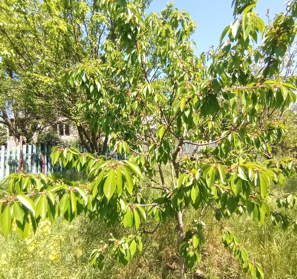 дом г Красноперекопск снт Строитель ул Камышовая 323 фото 32