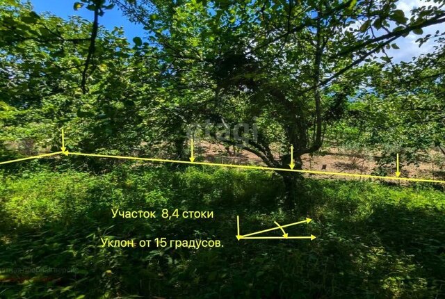с Казачий Брод с Илларионовка р-н Адлерский садоводческое товарищество Электроника фото