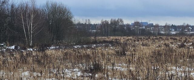 д Ловцово Домодедовская фото