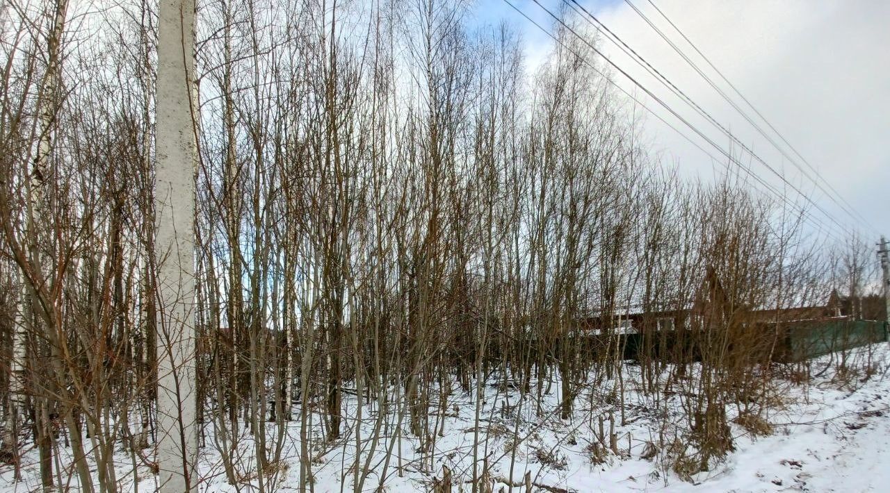 земля городской округ Сергиево-Посадский г Краснозаводск проезд Кленовый фото 3
