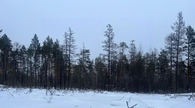 МИЗ кв-л фото