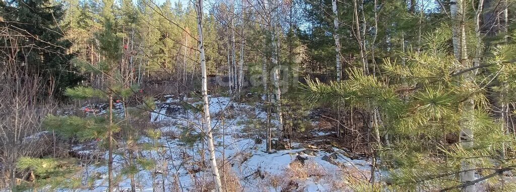 земля г Кыштым снт Теренкуль-2 фото 3