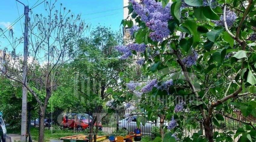 квартира г Воронеж р-н Левобережный ул Димитрова 2а фото 2