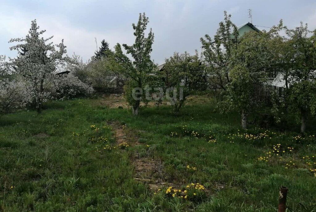 земля г Кыштым снт Теренкуль ул Курортная фото 5