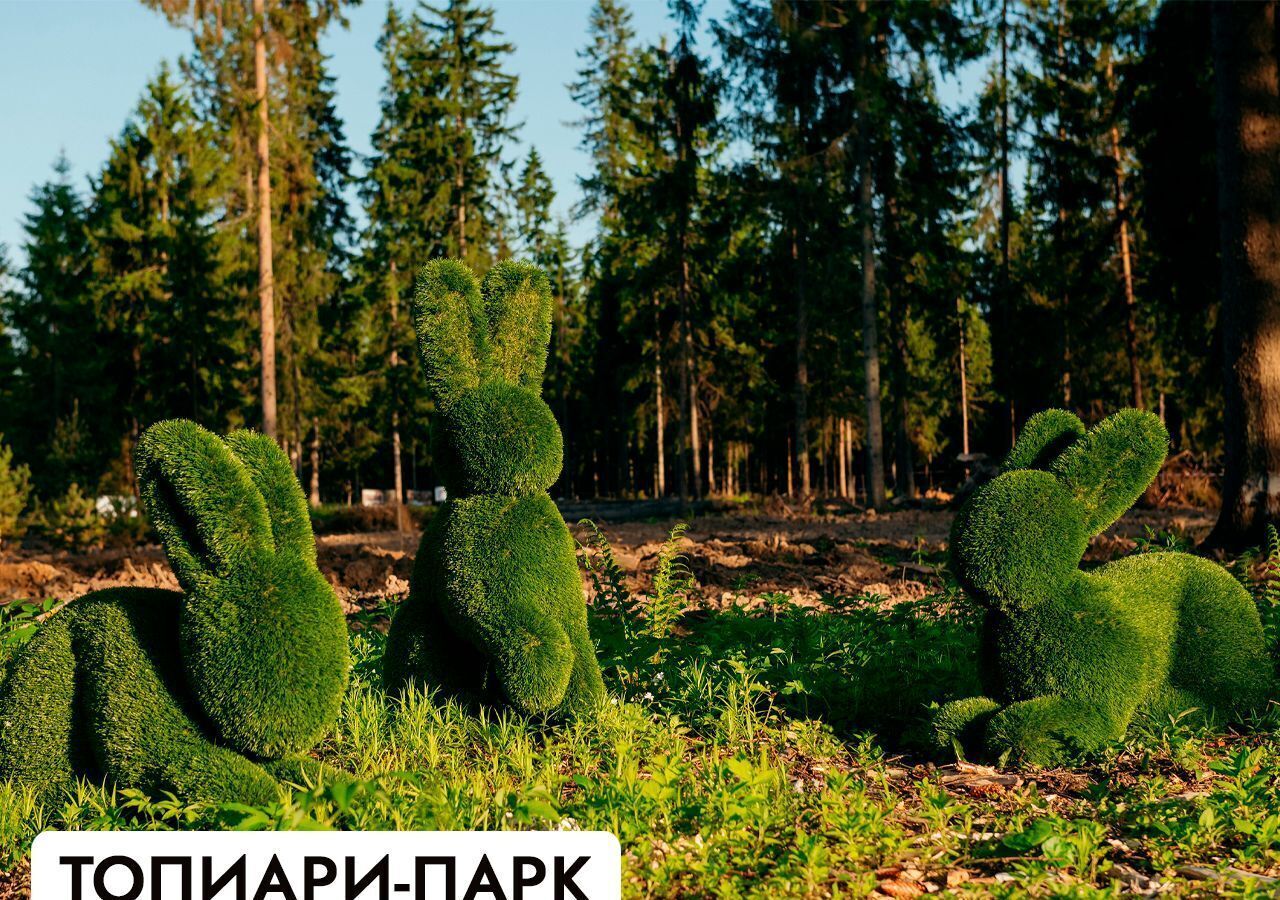 земля г Клин 54 км, эко-посёлок Ели эстейт, Новопетровское, Ленинградское шоссе фото 20