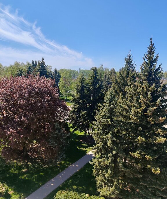 квартира р-н Новомосковский г Новомосковск ул Комсомольская 2 фото 18