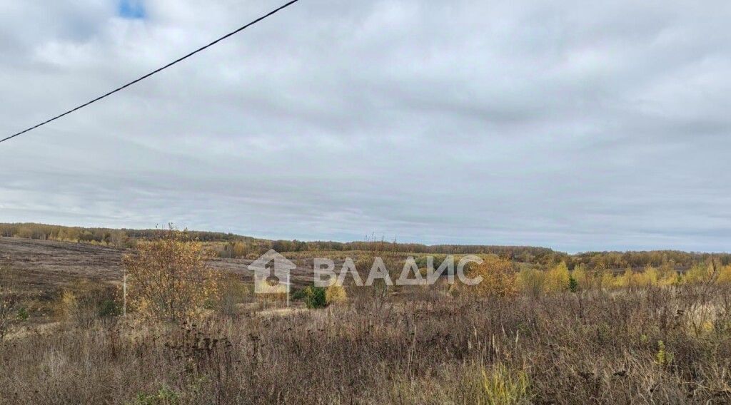 земля г Владимир с Мосино ул Берёзная р-н Ленинский фото 5