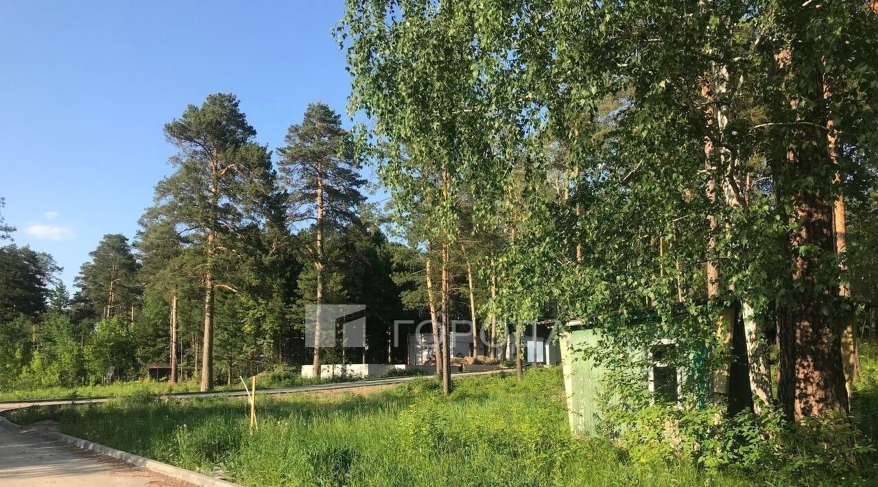 земля г Новосибирск Заельцовская Локис кп фото 3