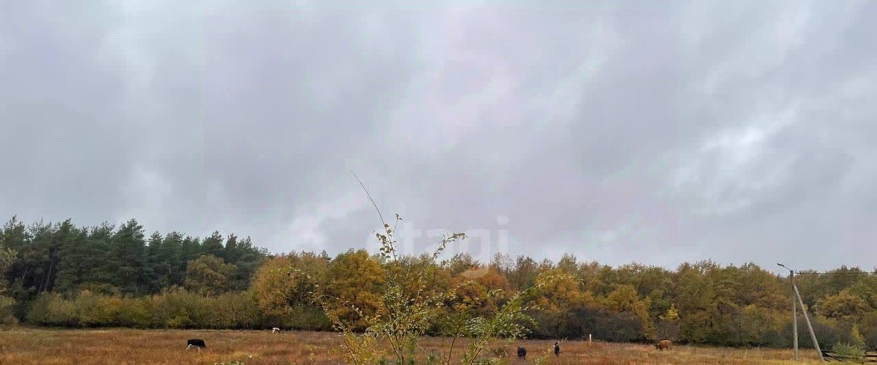 дом г Старый Оскол ул Лесная 16 с. Архангельское фото 37