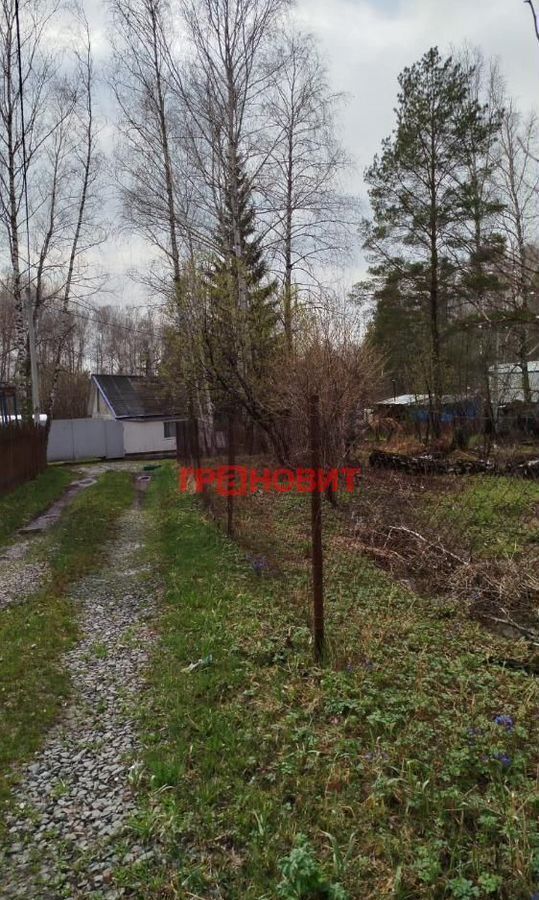 земля г Новосибирск р-н Первомайский снт Кедр Бердское шоссе, 388А фото 2