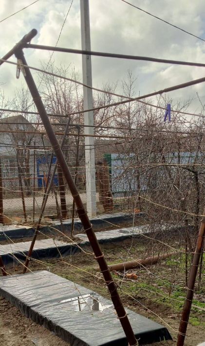 дом г Волгоград р-н Красноармейский снт Нефтяник 6-я линия фото 12