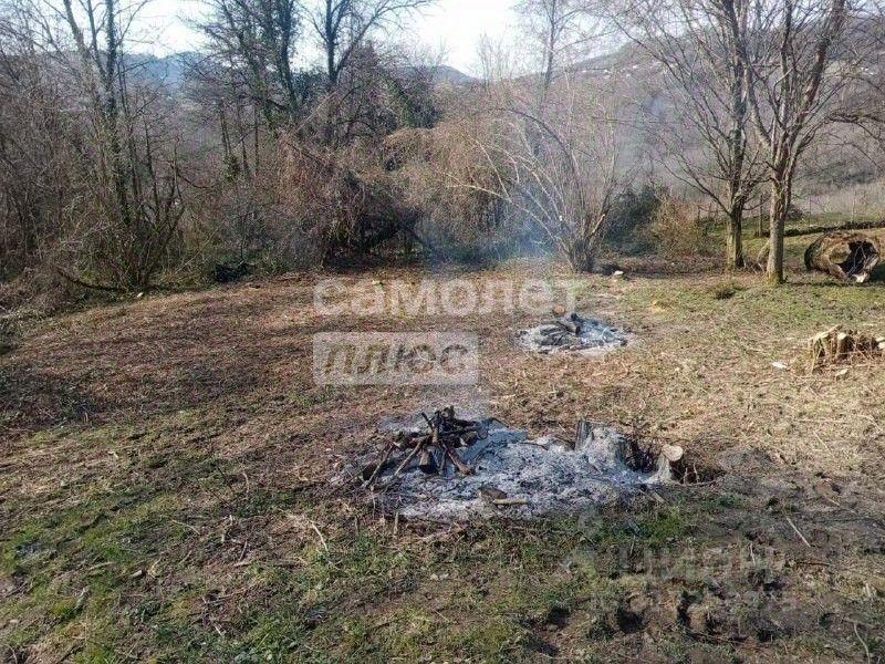земля г Сочи с Вардане-Верино садоводческое товарищество, 81, Экспресс фото 4