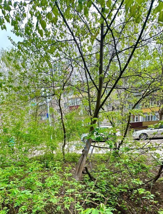 квартира г Казань р-н Советский Суконная слобода ул Новаторов 4 фото 11