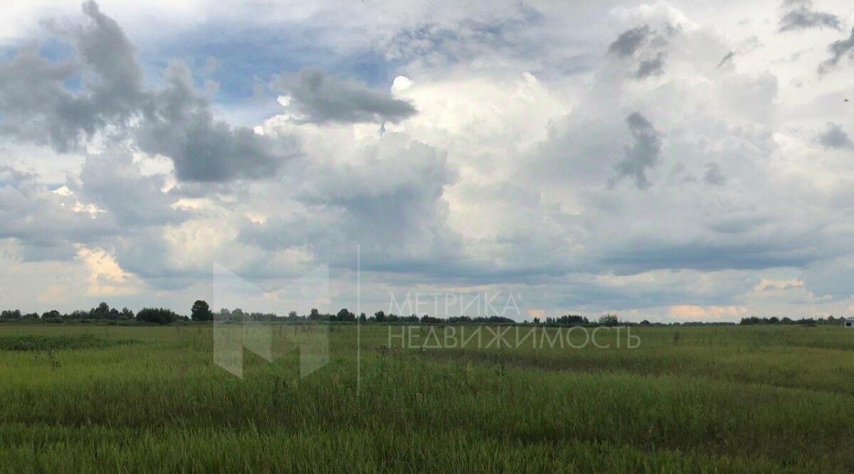 земля г Тюмень р-н Центральный снт Большое Царево-1 ул Садовая ТСН фото 12