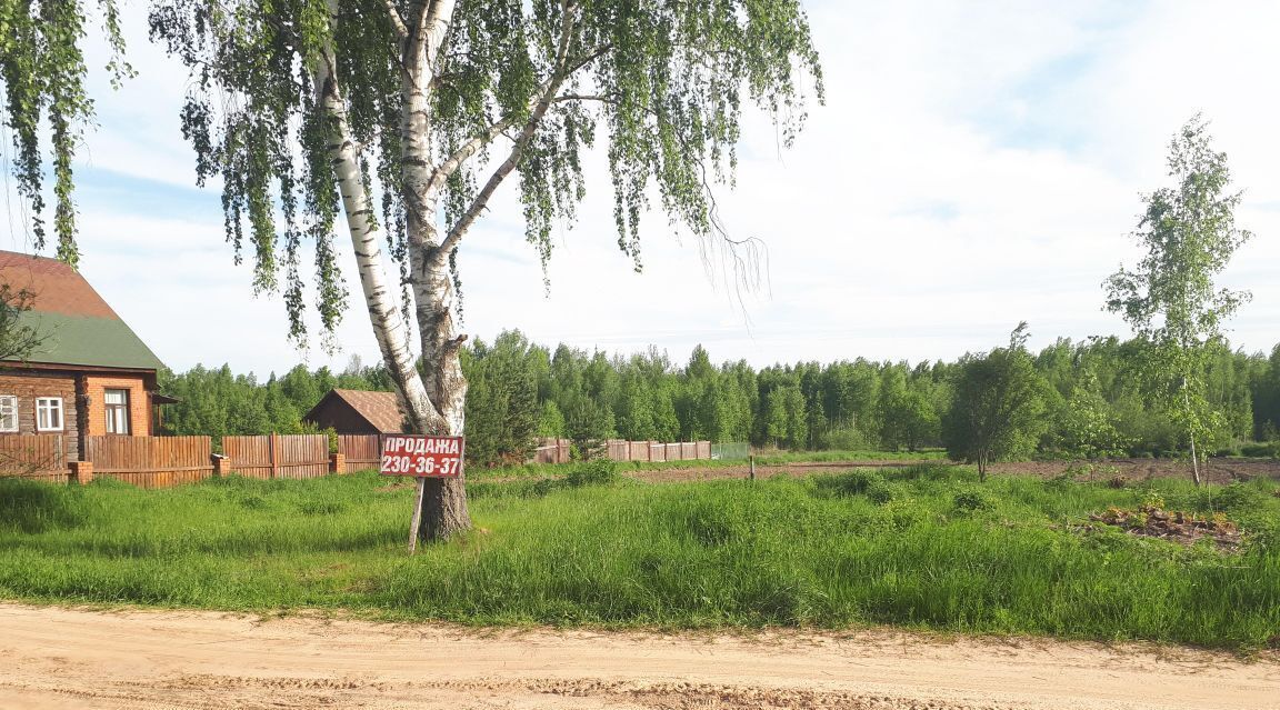 земля г Бор д. Ватома фото 1