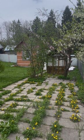40 км, садовое товарищество Чеховское-2, Истра, Волоколамское шоссе фото