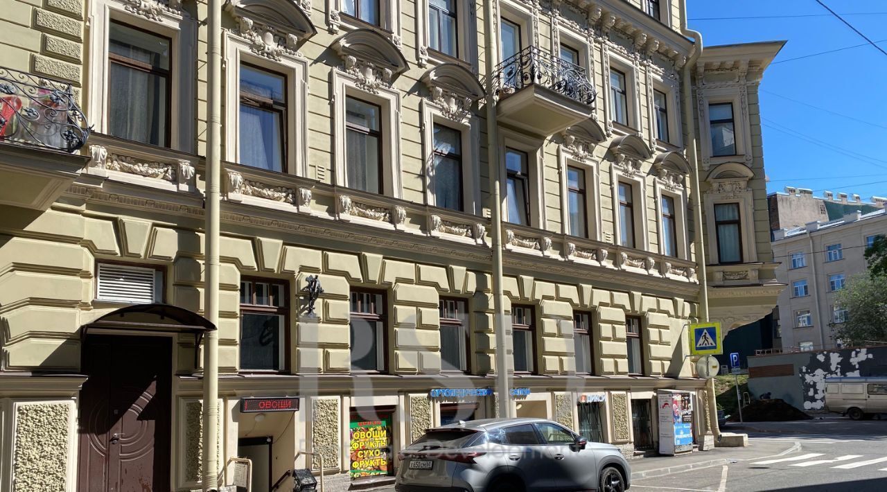свободного назначения г Санкт-Петербург метро Спортивная ул Блохина 17 округ Введенский, Петроградка фото 4