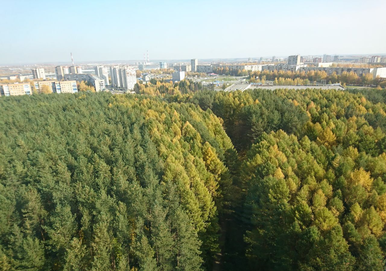 квартира г Ижевск р-н Устиновский Автопроизводство ул Цветочная 1 фото 12