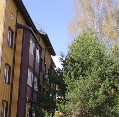 ул Луговая 10а фото