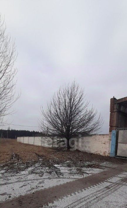 офис р-н Новооскольский г Новый Оскол ул. Ивана Путилина, 1 фото 7