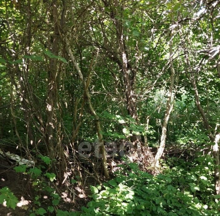 земля г Ставрополь р-н Ленинский Мамайка Дружба-2 садовое товарищество, 20 фото 5