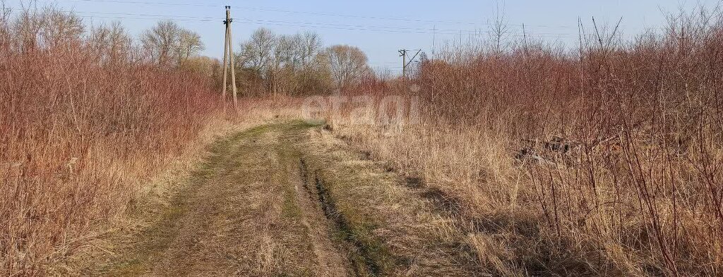 земля р-н Зеленоградский г Зеленоградск п Вишневое фото 7