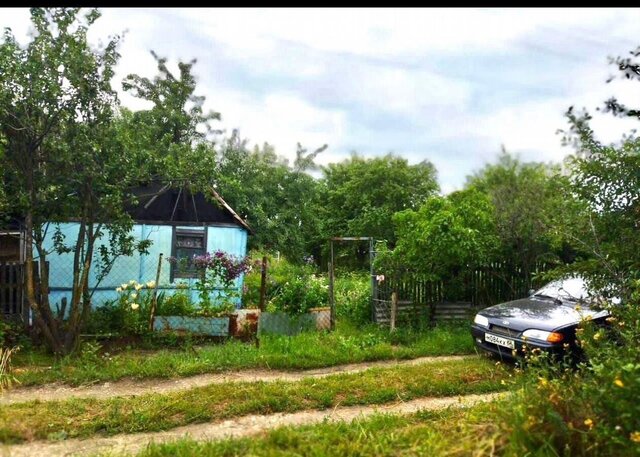 Светлый, СНТ Родничок фото