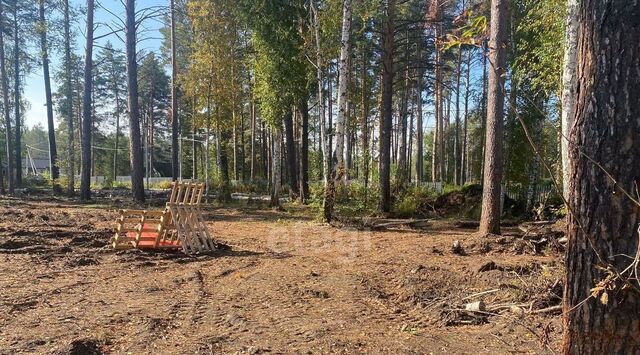 р-н Чкаловский ИЖС Парк Тихое место кп фото